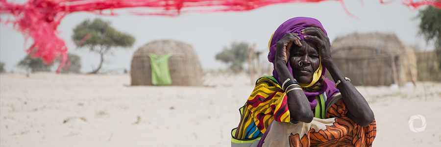 Millions of people in food crisis countries face severe acute food insecurity