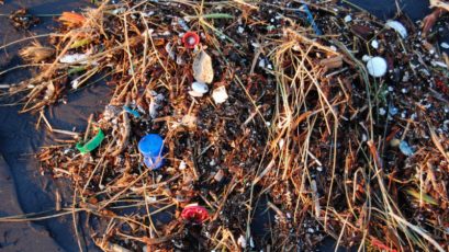 plastic_waste_ocean_CREDITKevin-Krejci_Flickr-800x450