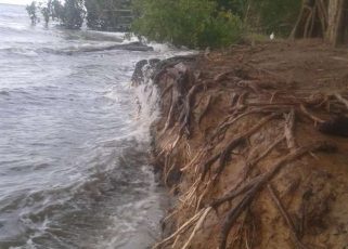 The sea is encroaching fast in the coastal area of Balfate, along Honduras’ Caribbean Coast, where natural barriers are disappearing and the sea is advancing many metres inland.