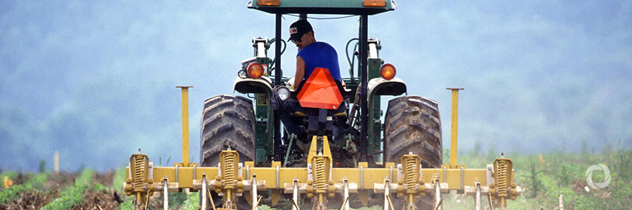 Increasing food production without damaging the environment