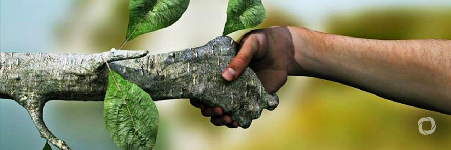 Ongoing forest destruction has put Asia-Pacific at risk of missing global development targets Ongoing forest destruction has put Asia-Pacific at risk of missing global development targets