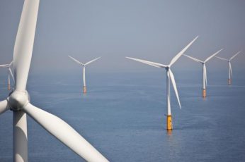 The Egyptian government is investing billions of dollars into new renewable energy projects and looking to establish wind farms and solar power plants in around the country.