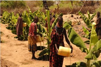 Turkana women water their banana field from the nearby River Turkwel. UNDP Kenya