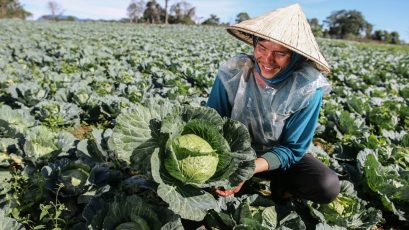 The project will contribute to increased agricultural productivity, diversification, and commercialization, resulting in higher incomes and better opportunities in northern Lao PDR.