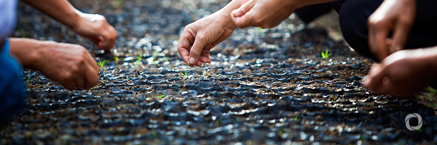 Supporting farmers in Peru recover from El Niño floods and landslides Supporting farmers in Peru recover from El Niño floods and landslides
