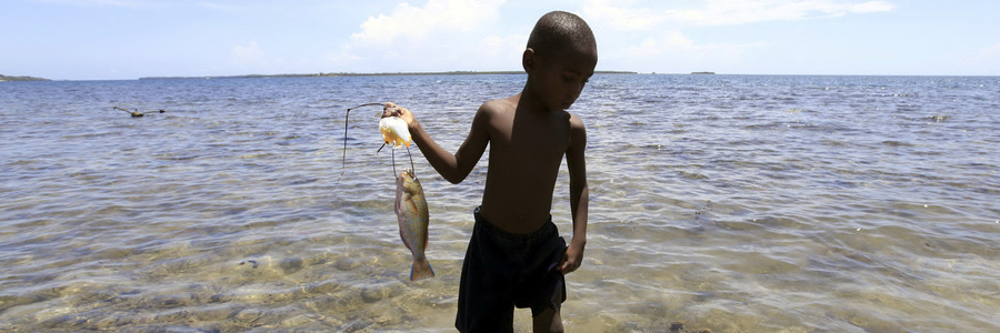 The seafood industry must pull our oceans back from the brink