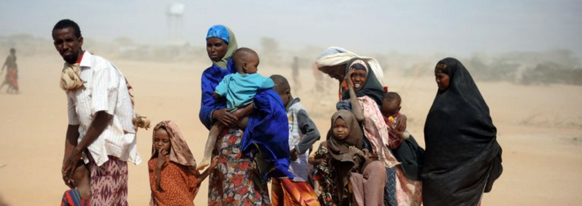 More survivors, remains of deceased African migrants found on Yemen beach
