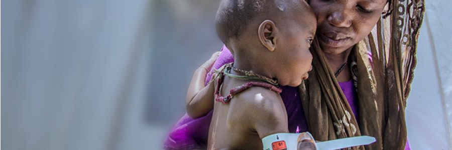 Somalia: famine averted, for now