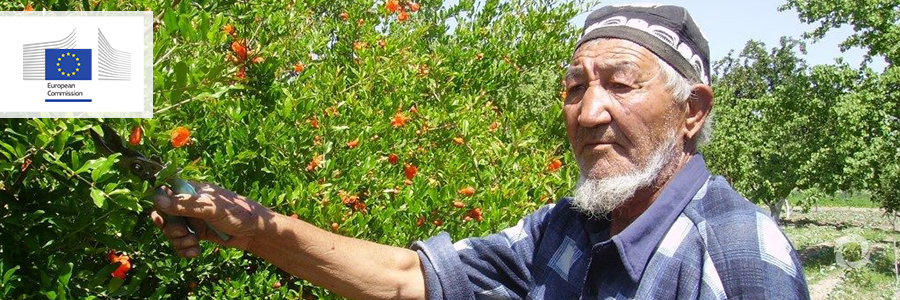 EU signs agreement of EUR 21.5 million to boost agriculture development in Uzbekistan EU signs agreement of EUR 21.5 million to boost agriculture development in Uzbekistan