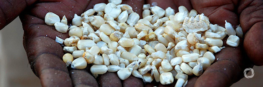 Achieving Zero Hunger requires transforming rural economies, investing in sustainable agriculture