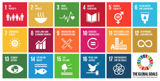 UN deputy chief: Global Goals embraced by Japanese society UN deputy chief: Global Goals embraced by Japanese society
