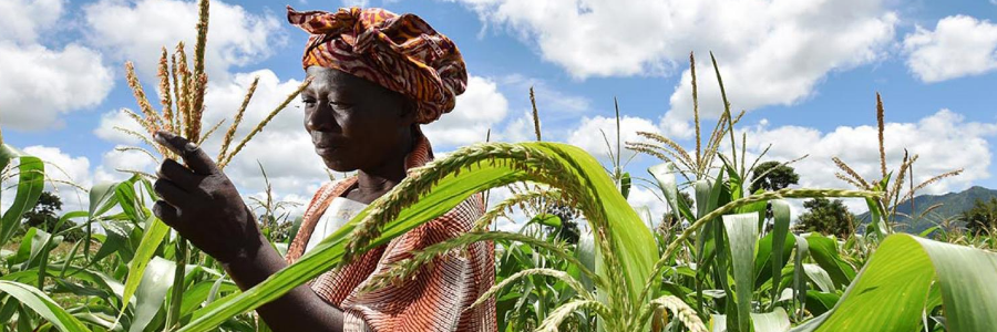 Famine response and prevention in Northeastern Nigeria, Somalia, South Sudan and Yemen