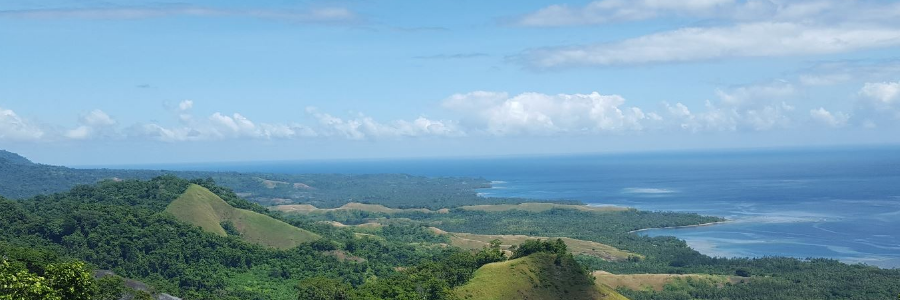 Green infrastructure and poverty reduction in the Pacific Island countries Green infrastructure and poverty reduction in the Pacific Island countries