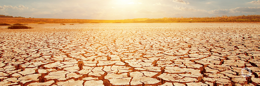 Extreme heat will hit India’s most vulnerable the hardest