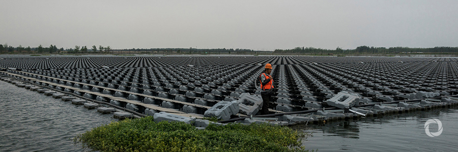 ADB raises $1.25bn through two types of green bonds ADB raises $1.25bn through two types of green bonds