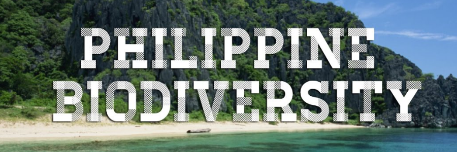 EU earmarks millions to conserve ASEAN’s biodiversity EU earmarks millions to conserve ASEAN’s biodiversity