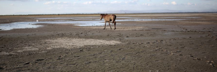 Drought-warning tool to help Central American farmers Drought-warning tool to help Central American farmers