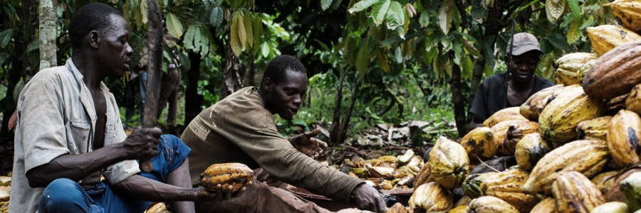 African Development Bank to finance Ghana-Ivory Coast cocoa plan