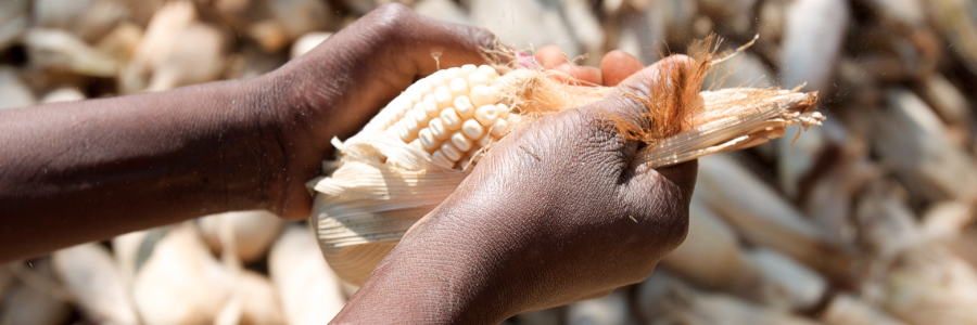 Chad Factsheet: Food Assistance