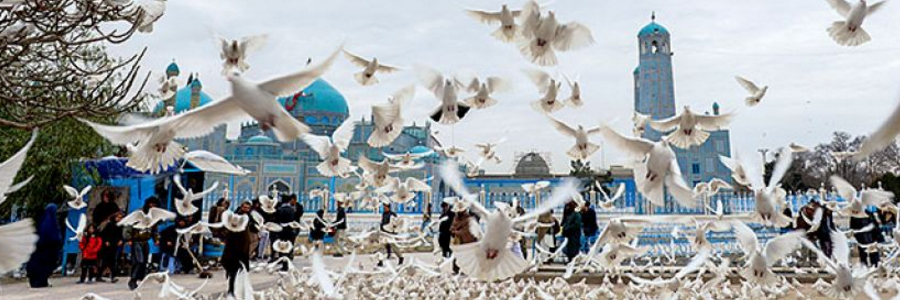 ADB appoints new country director for Afghanistan