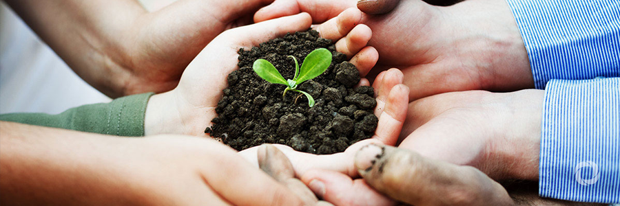 African Green Revolution Forum 2017: propelling the agricultural development agenda forward African Green Revolution Forum 2017: propelling the agricultural development agenda forward