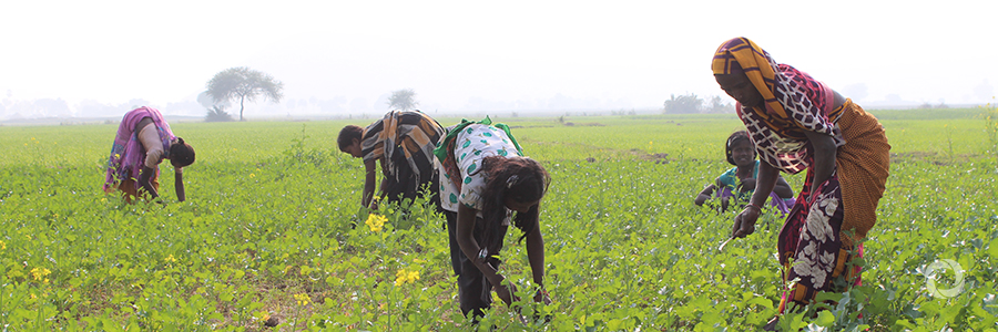 Women in agriculture must be facilitated, panel hears