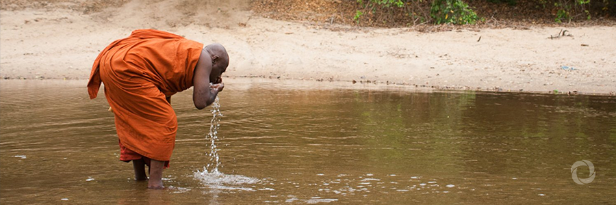 Global panel seeks effective policies to protect water resources
