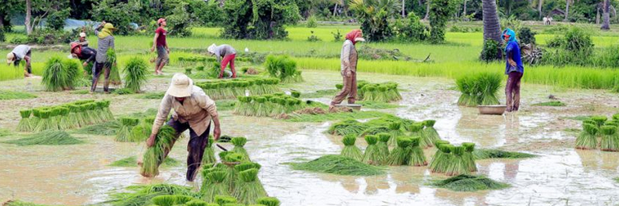 ADB to help generate rural employment in Shanxi