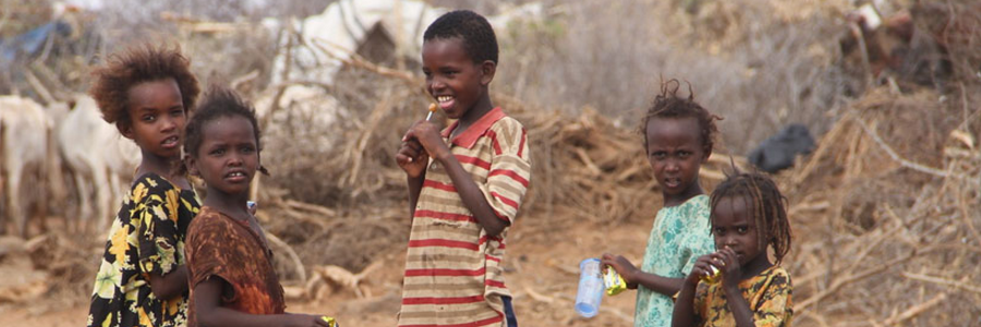 UN, partners seek $106 million in humanitarian aid for drought-hit Kenya