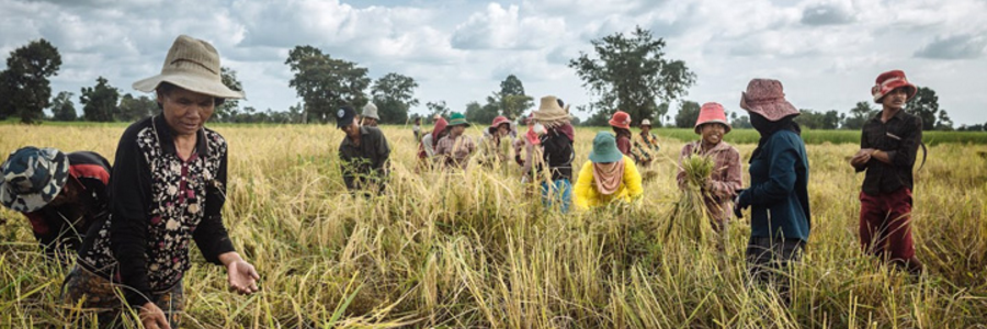 IOM Viet Nam and Sweden partner to enhance corporate responsibility in eliminating slavery and trafficking in Asia IOM Viet Nam and Sweden partner to enhance corporate responsibility in eliminating slavery and trafficking in Asia