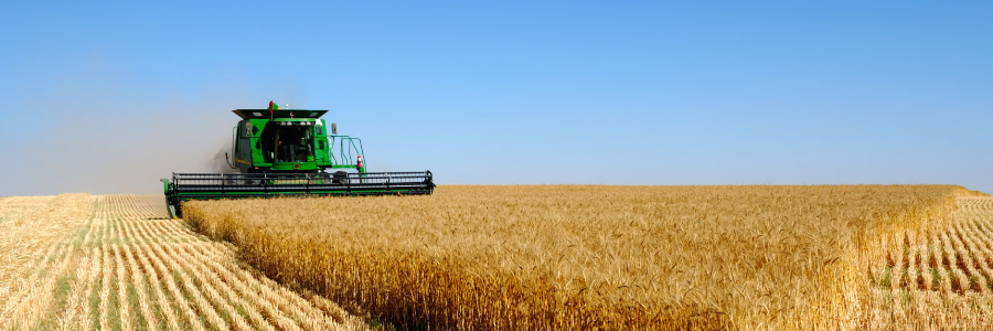 Russia ready to develop cooperation with U.S. in agriculture Russia ready to develop cooperation with U.S. in agriculture