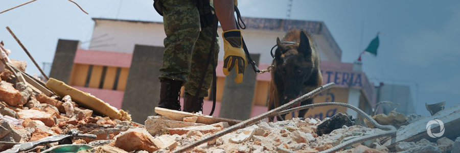 UNRWA partners with RedR Australia to support emergency responses UNRWA partners with RedR Australia to support emergency responses