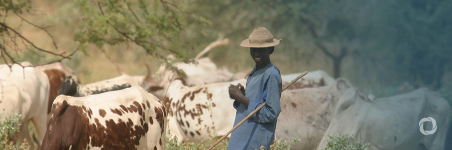 Forced migration and protracted crises: A multilayered approach