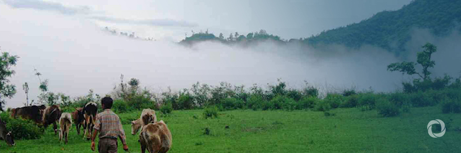 Building climate change resilience in mixed livestock-crop systems