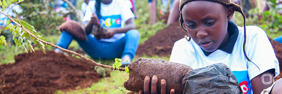 ELD Initiative, partners assess economic benefits of sustainable land management in Asia and Africa