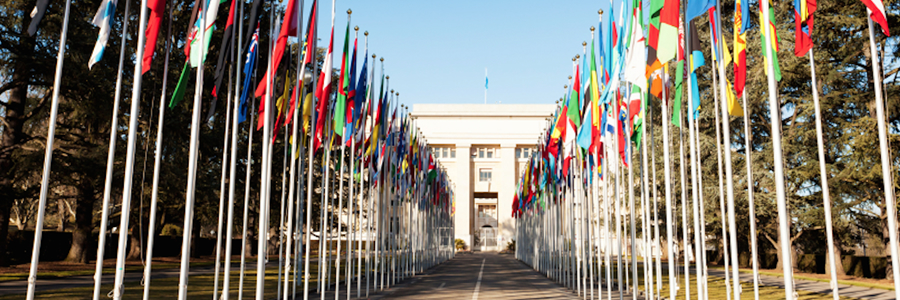 United Nations civilian staff casualties falls to lowest in five years, despite increased direct attacks United Nations civilian staff casualties falls to lowest in five years, despite increased direct attacks