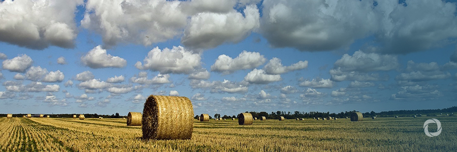 Rabobank and UN Environment announce new billion dollar partnership to kickstart climate smart agriculture