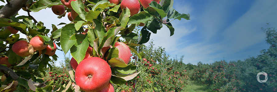 G7 countries can help smallholders and family farmers access data vital for building resilience