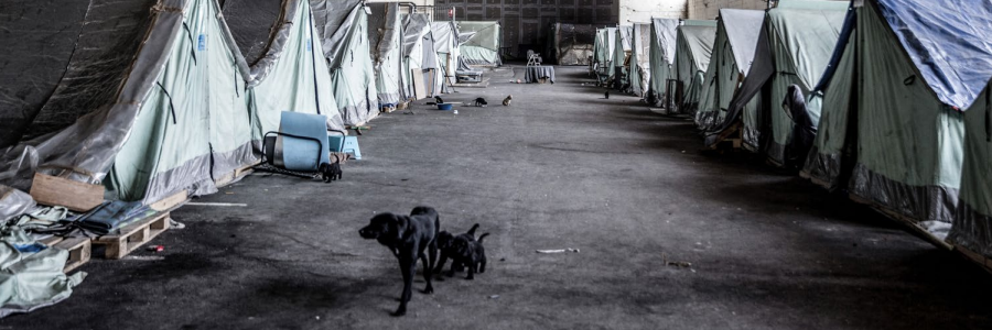 Protection challenges for unaccompanied and separated children in Jordan, Lebanon and Greece