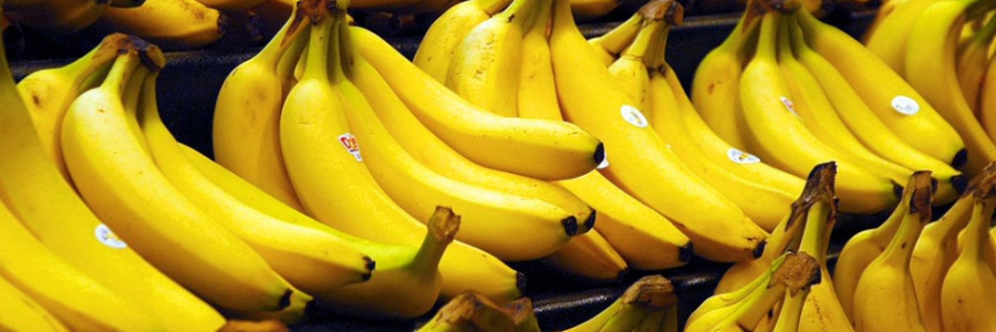 UN agriculture agency launches handbook to improve safety in banana farming sector UN agriculture agency launches handbook to improve safety in banana farming sector