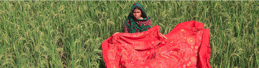 Bangladesh fact sheet Bangladesh fact sheet