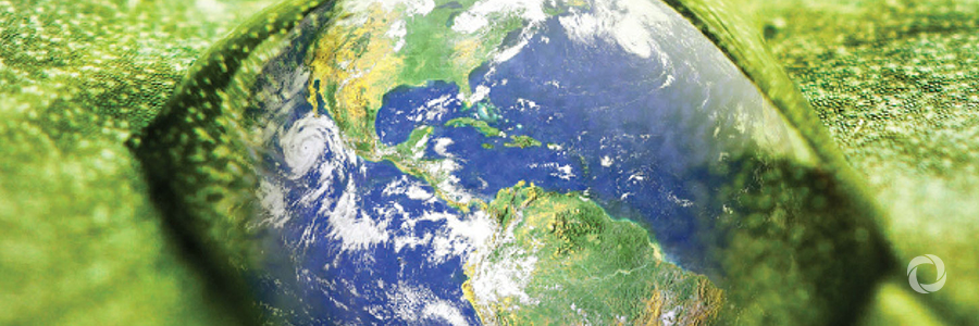 Record number of UN entities climate neutral in 2016