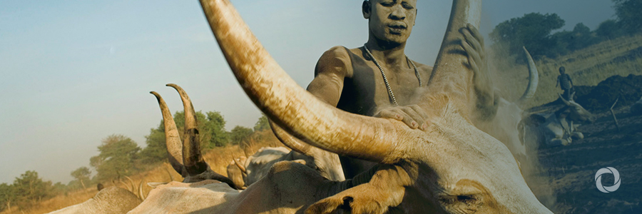 AgDevCo and Mastercard support African farmers