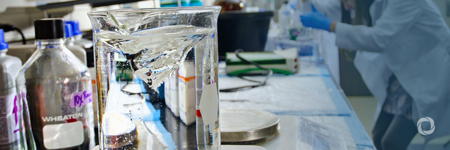 Record number of chemicals reviewed by UN chemical expert committees Record number of chemicals reviewed by UN chemical expert committees