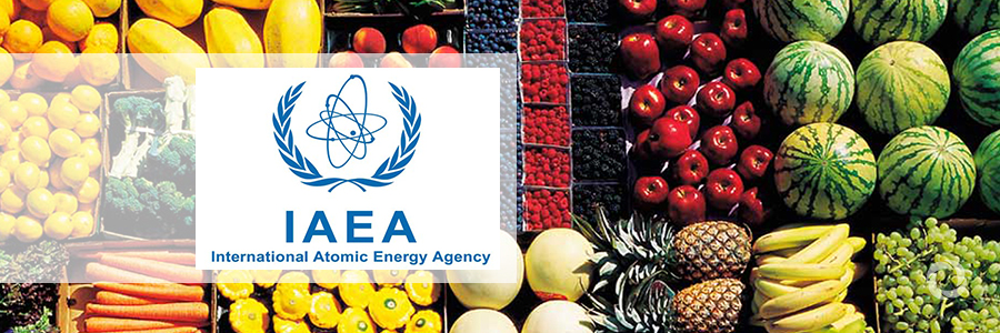 IAEA shares latest findings at 21st International Nutrition Congress in Buenos Aires IAEA shares latest findings at 21st International Nutrition Congress in Buenos Aires
