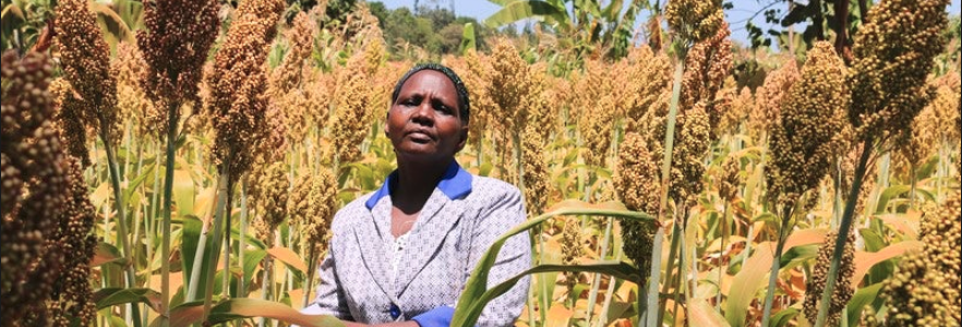 Africa Climate Smart Agriculture Congress: innovations, partnerships and financing Africa Climate Smart Agriculture Congress: innovations, partnerships and financing