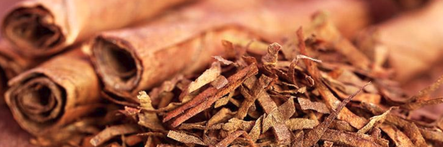 Tobacco hurts more than just your lungs – it damages the communities that grow it
