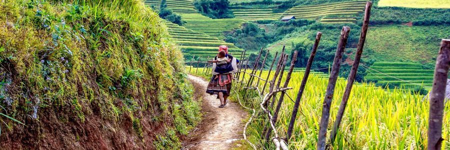 Climate change puts millions of people in vicious cycle of food insecurity, malnutrition and poverty Climate change puts millions of people in vicious cycle of food insecurity, malnutrition and poverty
