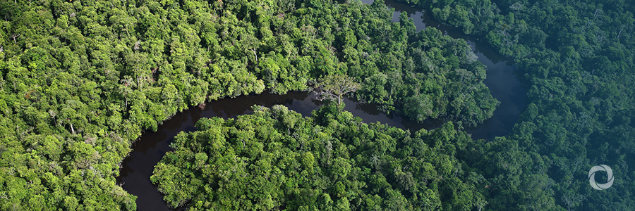 Colombia launches partnership to protect Amazon rainforest from deforestation