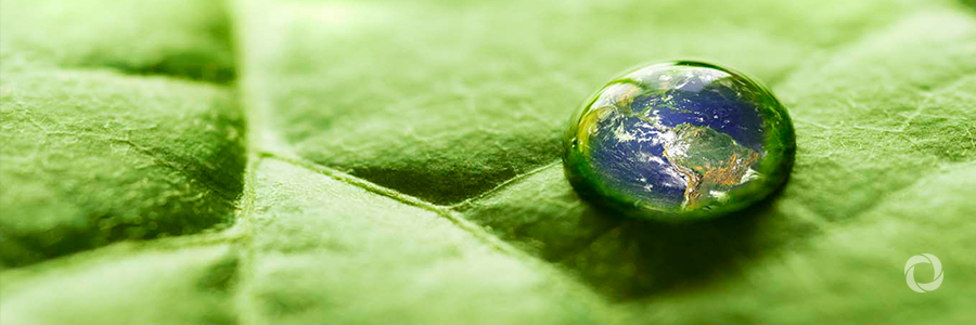 Green economy initiatives reconcile people and nature in Ghana